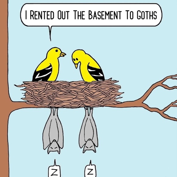 Unlisted 🐈‍⬛ 💨 - Picture 4 of 11